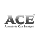 Ace Asansör - Tumay Creative referansı